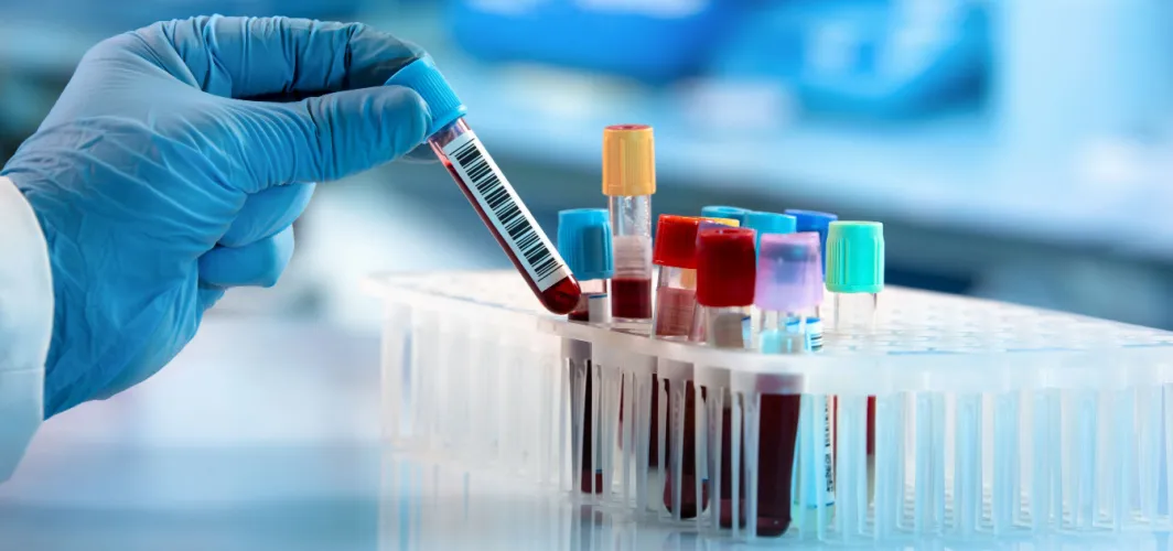 Diagnostic Laboratory with Modern Testing Equipment